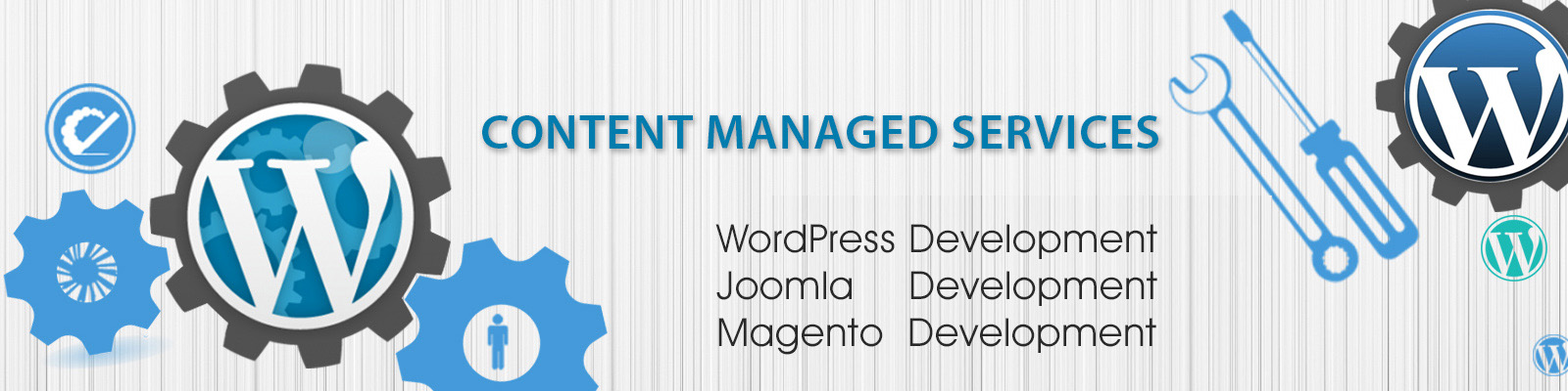 Wordpress Services Banner